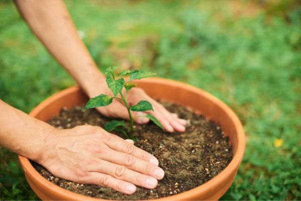 うつ病 没頭 趣味 おすすめ